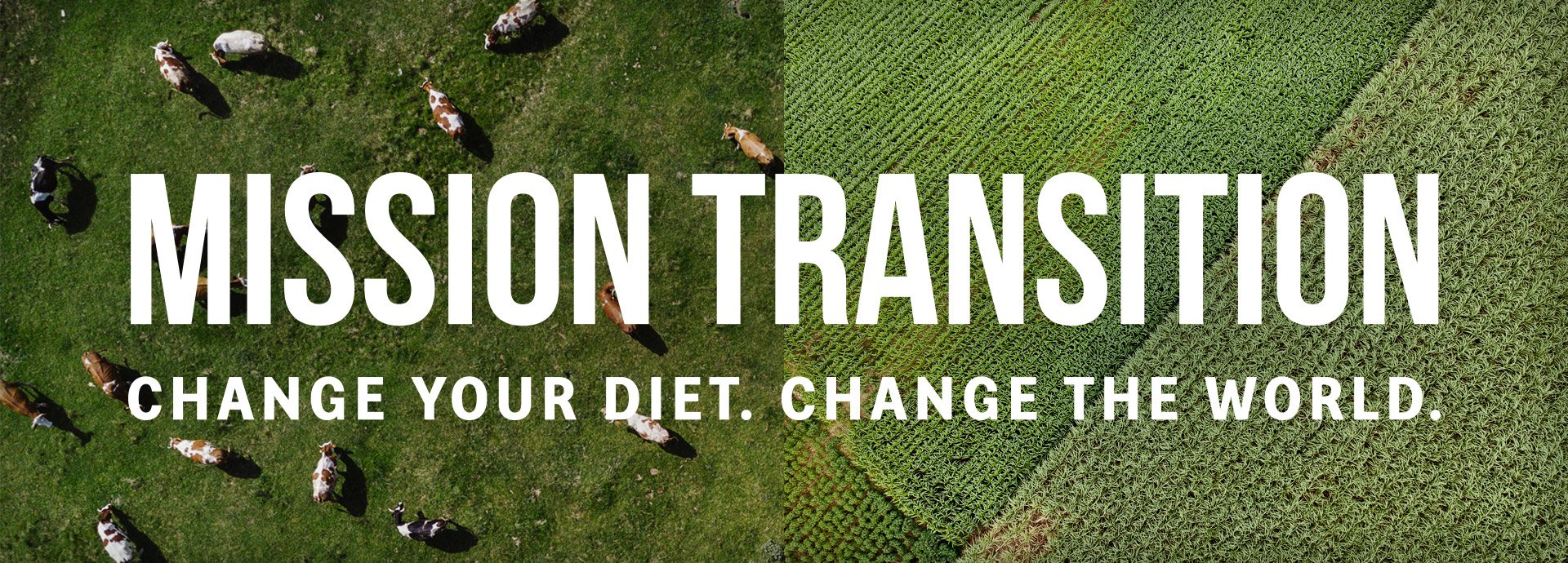 Mission Transition Header Desktop